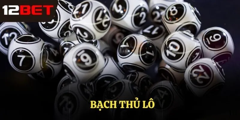 bạch thủ lô