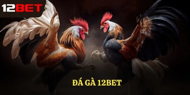 Kinh nghiệm cá cược đá gà 12bet