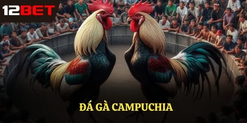 Đá gà Campuchia